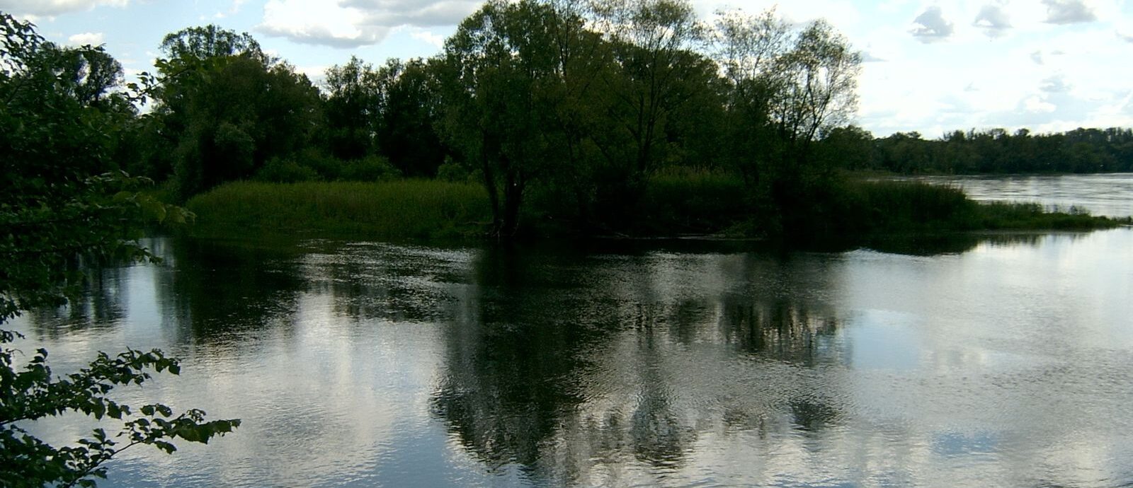 Ujscie rzeki Ilanki do Odry w okolicach Swiecka