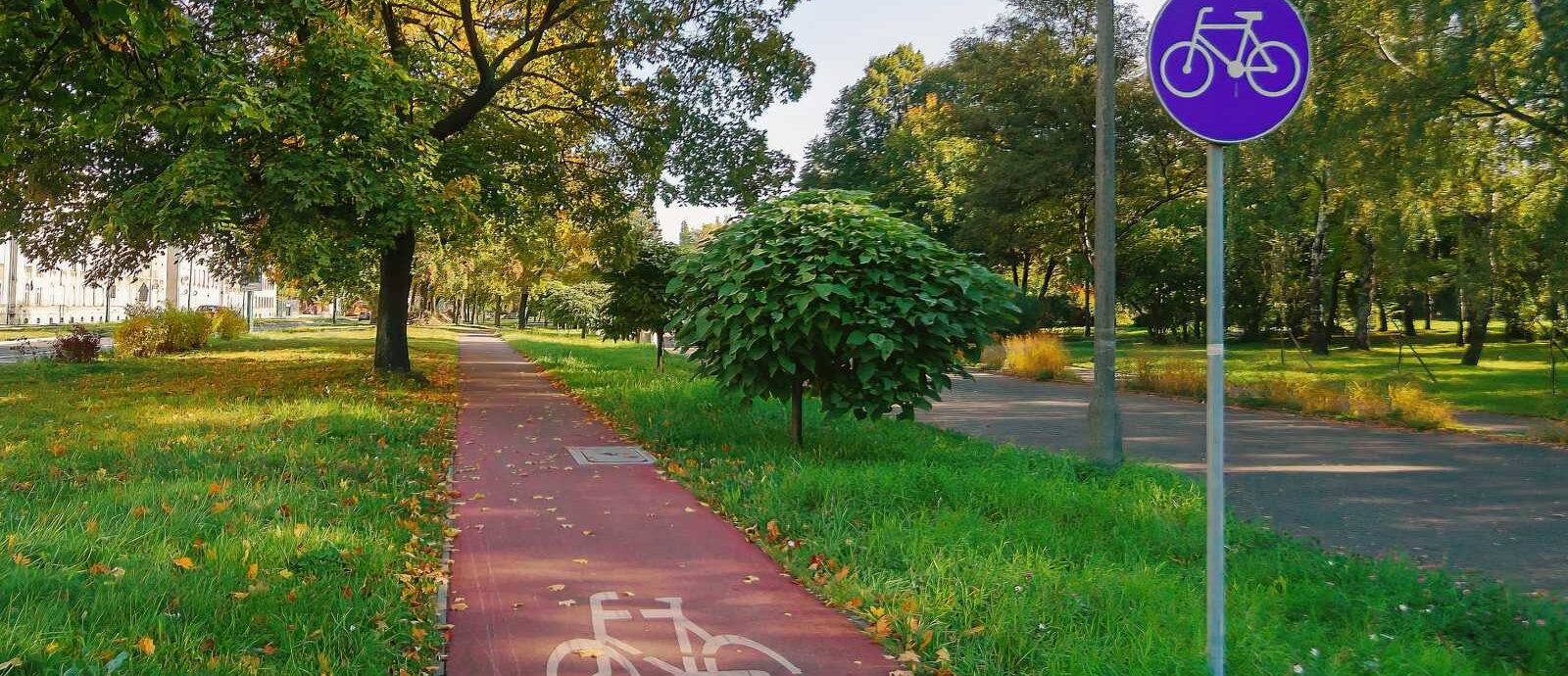 Oznakowana sciezka rowerowa w parku, zdjecie ilustracyjne